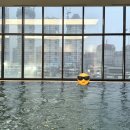 웨이브파크 | 르컬렉티브 시흥 웨이브파크 숙박후기, 조카와 함께한 수영장 호텔 여행