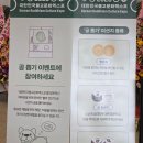 문화문방구 | 2026 대한민국불교문화엑스포 리얼 후기! '공(空)놀이' 캡슐 뽑기부터 힙한 굿즈까지