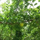 달림농장 이미지