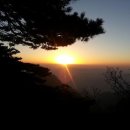 레디젯코리아 이미지