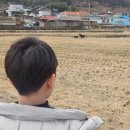 남해산업 | 남해 독일마을 파독 전시관 후기｜아이와 역사 체험 여행