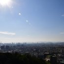 몸과 마음을 위한 작은 처방전 이미지