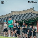 신곡동 메타세쿼이아길 경기도뉴스