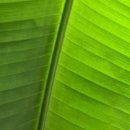 맑은하늘정형외과의원 이미지