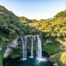 자연환경산업(주) 이미지