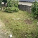 승주읍 행정복지센터 이미지