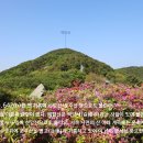 백양산