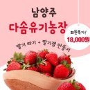 다솜농장 이미지