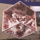 와이랜드 이미지