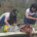 학암낚시터 이미지