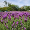 고래정원 이미지