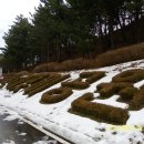 환호해맞이공원 이미지