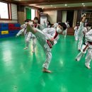 용호도장 이미지