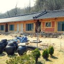 황토와소나무 이미지