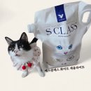 [노묘에게 딱! 모래를 갈아보자] 에스클래스 화이트 제올라이트 사용후기