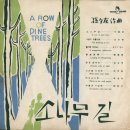 손석우 작곡집 [소나무길] (1963) 이미지