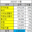 초안유치원 | [지출결산 2025년 11월] 월 20만원 유치원 준비 자금 시뮬레이션 시작! 할부 끝, 저축률 방어 성공 전략