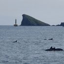 두모 542 이미지