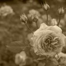 대로(주)3-1-3 이미지