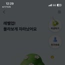 케이-닭강정 네이버블로그