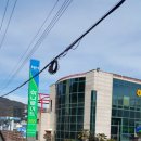 셈프레펜션 이미지