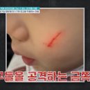 금쪽같은 우리아이 긍정적 훈육 과정 | 깨물고 때리는 아이, 충동 조절·공격성 훈육 방법과 아동 발달 상담｜금쪽같은 내새끼 235회｜하남미사...