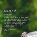 도토리 이미지