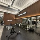 리얼 스트렝스 짐 이미지