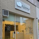 아기천사애견샵 | 광주애견미용 보더콜리 코코의 첫 위생목욕+부분미용! 똑똑한 미용 천재의 공놀이 적응기
