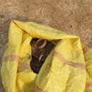 예성초교 병설유치원 이미지