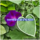유원부동산중개사무소 이미지