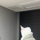 별난친구