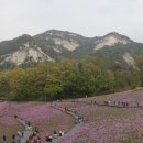 불암산나비정원 이미지