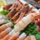 [제주 성산맛집] 바다뷰 해물라면 맛집 &#34;몰마농&#34; 코지세트 후기