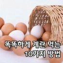 계란 똑똑하게 먹는 방법 이미지