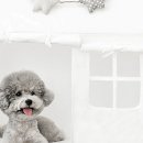 힐링초이스 이미지