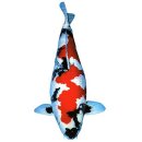 백금반점 | 🐟 비단잉어의 기원 !!