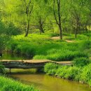 남성공원 이미지