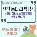 농다리캠핑장 | 농다리캠핑장 : 시설좋은 소규모캠핑장, 조용한 캠핑장, 벚꽃명소 근처 캠핑장 / 수도권 근처 캠핑장 추천