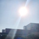 포은식당 | [뮤지컬 보러 간 날] <지킬 앤 하이드> 20주년 전국 투어(용인) 용인포은아트홀(2025. 7. 11. 금) 7시 30분