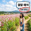 2037 | 영화 이공삼칠 결말 해석, 수감번호 2037이 이름 윤영으로 돌아온 진짜 의미