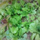 거명농장 이미지