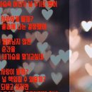 용인대 은성 태권도 이미지