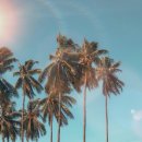 워크아웃투게더