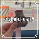 봄바람 살랑이는 기장 마라톤 도전기