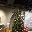 샐러빗 | 대만 저스트슬립 시먼딩, 3박 후기(조식포함)