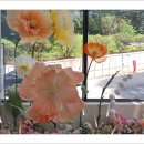 오름카페 이미지