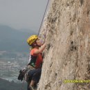 동막골캠프 이미지