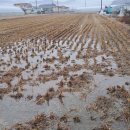 전원부동산중개인사무소 이미지