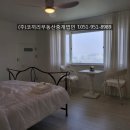 영도민박 네이버블로그